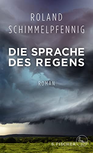 Stock image for Die Sprache des Regens: Roman for sale by medimops