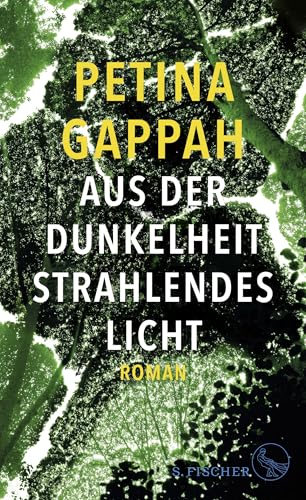 9783103974492: Aus der Dunkelheit strahlendes Licht: Roman