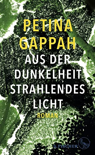 Stock image for Aus der Dunkelheit strahlendes Licht: Roman for sale by medimops