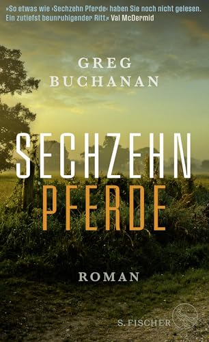 Beispielbild fr Sechzehn Pferde: Roman - So etwas wie ?Sechzehn Pferde? haben Sie noch nicht gelesen. Ein zutiefst beunruhigender Ritt. Val McDermid zum Verkauf von medimops