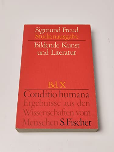 9783108227104: Bildende Kunst und Literatur Studienausgabe Band X