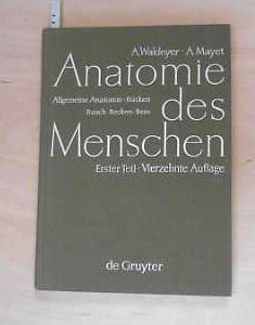 Beispielbild fr Anton Waldeyer; Anton Mayet: Anatomie des Menschen 1: Allgemeine Anatomie, Rcken, Bauch, Becken, Bein zum Verkauf von Gerald Wollermann