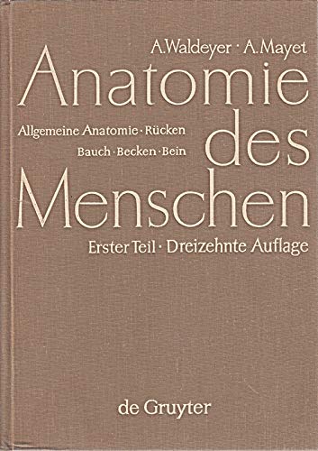 Beispielbild fr Waldeyer, Anton; Mayet, Anton: Anatomie des Menschen fr Studierende und rzte dargestellt nach systematischen, topographischen und praktischen . Anatomie, Rcken, Bauch, Becken, Bein: Teil 1 zum Verkauf von medimops