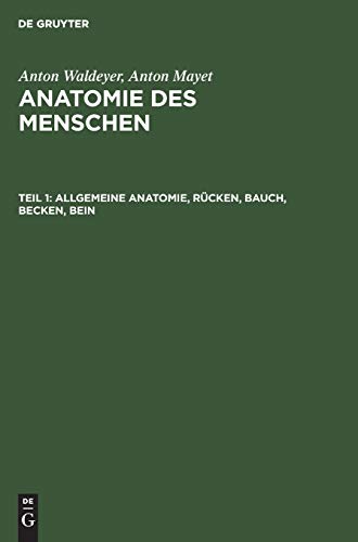 9783110059847: Allgemeine Anatomie, Rcken, Bauch, Becken, Bein