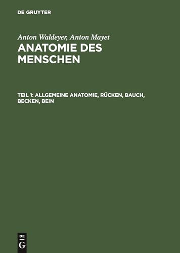 9783110059847: Allgemeine Anatomie, Rcken, Bauch, Becken, Bein