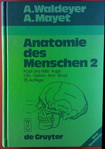 Beispielbild fr Anatomie des Menschen 2. Kopf und Hals - Auge - Ohr - Gehirn - Arm - Brust. zum Verkauf von medimops