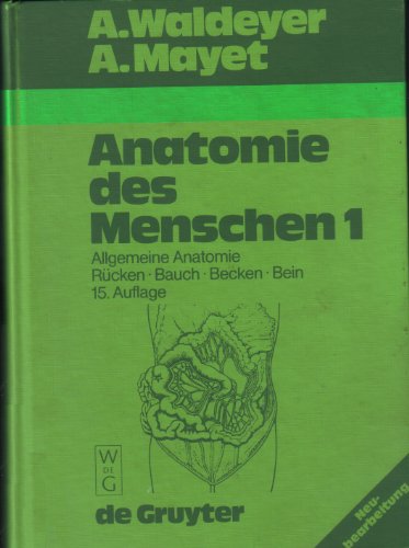 Imagen de archivo de Anatomie des Menschen fr Studierende und rzte dargestellt nach systematischen, topographischen und praktischen Gesichtspunkten / Allgemeine Anatomie, Rcken, Bauch, Becken, Bein: Teil 1 a la venta por medimops