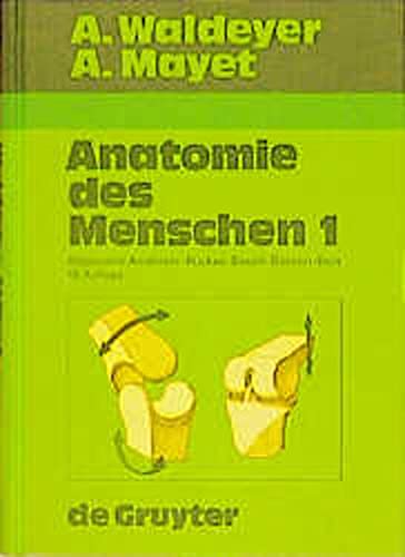 9783110126020: Allgemeine Anatomie. Allgemeine Histologie. Allgemeine Embryologie. Rcken. Bauch. Becken. Bein
