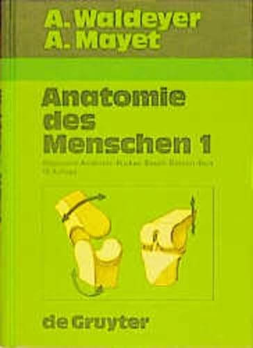 Stock image for Anatomie des Menschen fr Studierende und rzte - Bd. 1., Allgemeine Anatomie, allgemeine Histologie, allgemeine Embryologie, Rcken, Bauch, Becken, Bein , for sale by medimops