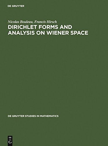 Imagen de archivo de Dirichlet Forms and Analysis on Wiener Space. a la venta por Antiquariat Bernhardt