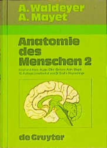 Beispielbild fr Anatomie des Menschen, 2 Bde., Bd.2, Kopf und Hals, Auge, Ohr, Gehirn, Arm, Brust zum Verkauf von medimops