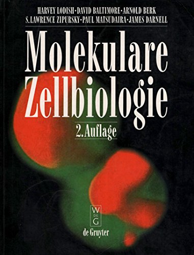 Molekulare Zellbiologie - Harvey Lodish
