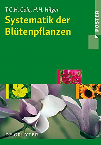 Imagen de archivo de Systematik der Bltenpflanzen (Poster) a la venta por medimops