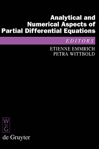 Analytical and Numerical Aspects of Partial Differential Equations: Notes of a Lecture Series - Emmrich, Etienne; Wittbold, Petra