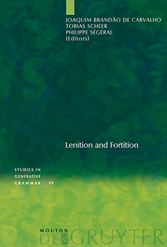 Lenition and Fortition (Studies in Generative Grammar) (Volume 99) - de Carvalho, JB et al (eds)