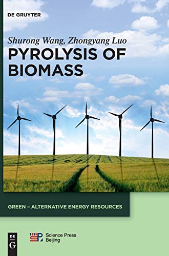 Beispielbild fr Pyrolysis of Biomass zum Verkauf von Blackwell's