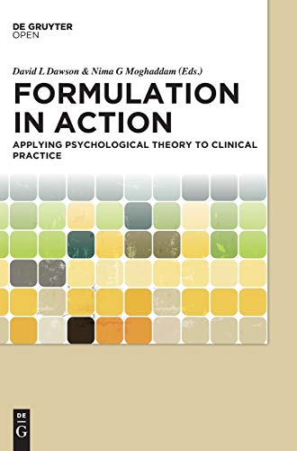 Stock image for Formulation in Action for sale by Blackwell's