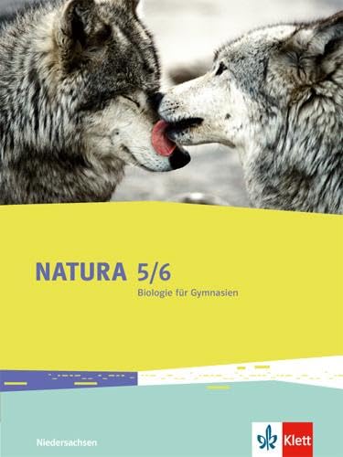 Beispielbild fr Natura - Biologie fr Gymnasien / Schlerbuch 5./6. Schuljahr: Ausgabe fr Niedersachsen zum Verkauf von medimops