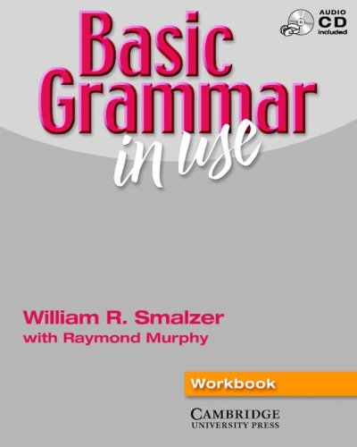 9783125341074: Basic Grammar in Use