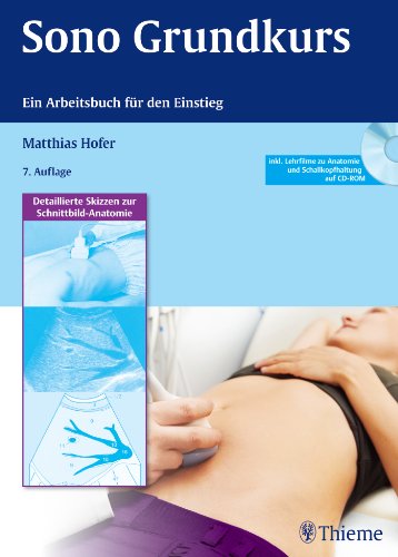 Stock image for Sono Grundkurs: Ein Arbeitsbuch fr den Einstieg for sale by medimops