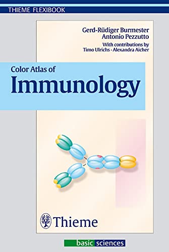 Beispielbild fr Color Atlas of Immunology (Thieme Flexibook) zum Verkauf von SecondSale