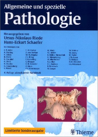 Allgemeine und spezielle Pathologie - Riede, Ursus N; Schaefer, Hans E