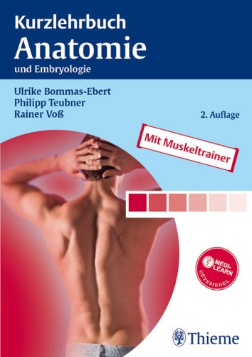 Beispielbild fr Kurzlehrbuch Anatomie und Embryologie zum Verkauf von medimops