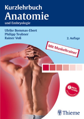 Stock image for Kurzlehrbuch Anatomie und Embryologie for sale by medimops
