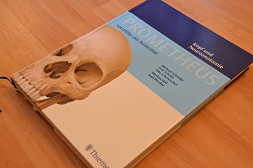 Beispielbild fr PROMETHEUS Lernatlas der Anatomie. Kopf und Neuroanatomie Schulte, Erik; Schumacher, Udo; Schnke, Michael; Voll, Markus and Wesker, Karl H. zum Verkauf von online-buch-de