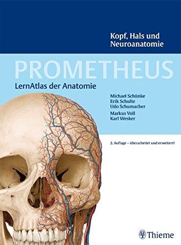 Imagen de archivo de PROMETHEUS LernAtlas der Anatomie: Kopf, Hals und Neuroanatomie a la venta por medimops