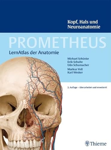 Stock image for PROMETHEUS LernAtlas der Anatomie: Kopf, Hals und Neuroanatomie for sale by medimops