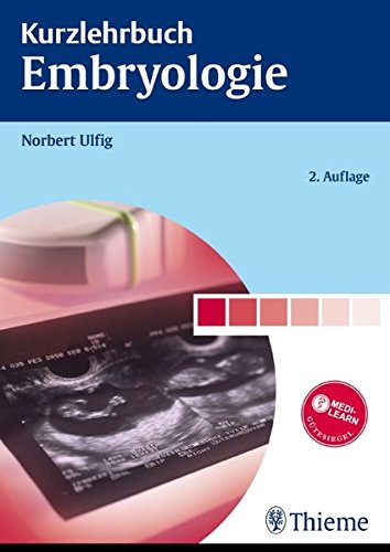 Stock image for Kurzlehrbuch Embryologie for sale by medimops