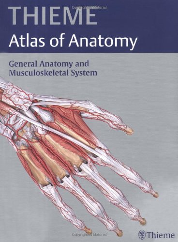 Stock image for General Anatomy and Musculoskeletal System (Thieme Atlas of Anatomy) for sale by Once Upon A Time Books