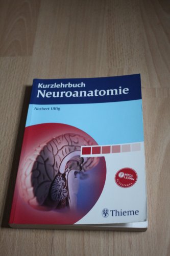 Stock image for Kurzlehrbuch Neuroanatomie for sale by medimops