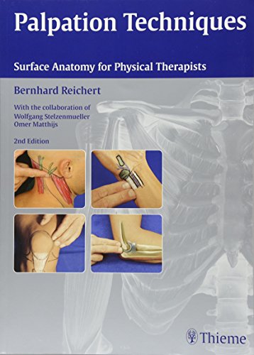 Stock image for Palpation Techniques: Surface Anatomy for Physical Therapists for sale by SecondSale