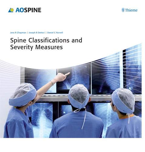 Stock image for Spine Classifications and Severity Measures (AO-Publishing) for sale by Jasmin Berger