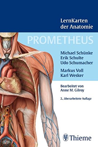 Stock image for Prometheus Lernkarten der Anatomie for sale by medimops