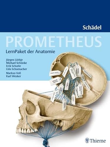 Stock image for Prometheus LernPaket der Anatomie: Schdel for sale by medimops