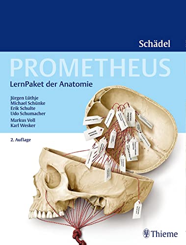 PROMETHEUS LernPaket Anatomie Schädel - Jürgen Lüthje