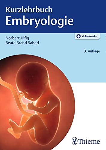 Stock image for Kurzlehrbuch Embryologie for sale by medimops