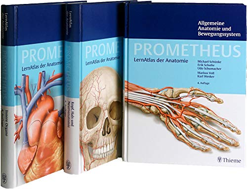 Kolibri Verengt Strait Tanga prometheus anatomie paket Trainer Es ist
