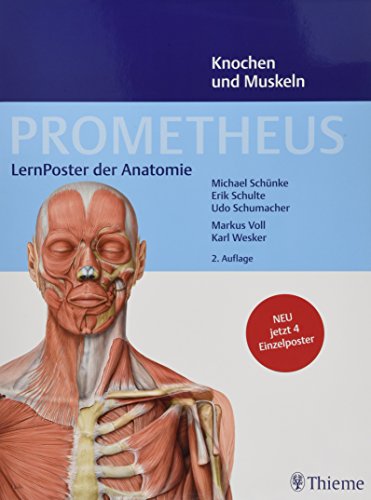  PROMETHEUS LernPoster der Anatomie, Knochen und Muskeln -  Schünke, Michael, Schulte, Erik, Schumacher, Udo - Livres