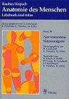 Beispielbild fr Anatomie des Menschen Bd.3, Nervensystem, Sinnesorgane [Gebundene Ausgabe] Nerven Sinne Neurologie Neuro Anatomy neurology Anatomieband Anatomiebuch menschlicher Krperbau Bauplan des Menschen Krankheitswert von Normabweichungen lebensnahe Abbildungen Krperregionen Krperteile Perspektiven Abtragungsstadien anatomischer Prparierkurs Referenz Prpariersaal schematische Skizzen und Diagramme Kraftflsse Bewegungsrichtungen pathologische Befunde Interaktionen Umwelteinflsse Lehrbuch der Anatomie des Menschen Prpariertisch Identifikation von Skelettbestandteilen Bibel der Anatomen Anatomieatlanten August Rauber (Autor), Friedrich Kopsch (Autor), Helmut Leonhardt (Autor), Gian Tndury (Autor), Karl Zilles zum Verkauf von BUCHSERVICE / ANTIQUARIAT Lars Lutzer