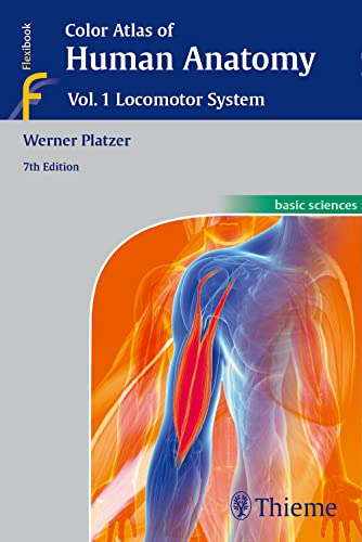 9783135333076: Color Atlas of Human Anatomy Vol.1 Locomotor System