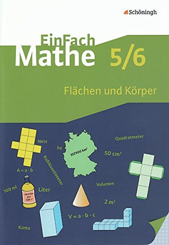 Stock image for Flchen Und Krper, Euro: 5./6. Klasse for sale by Revaluation Books