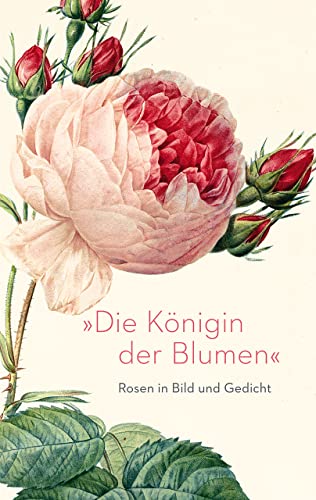 Beispielbild fr Die Knigin der Blumen: Rosen in Bild und Gedicht zum Verkauf von medimops
