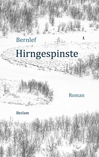 Hirngespinste: Roman (Reclam Taschenbuch) - Bernlef