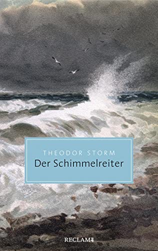 Imagen de archivo de Der Schimmelreiter: Novelle (Reclam Taschenbuch) a la venta por medimops