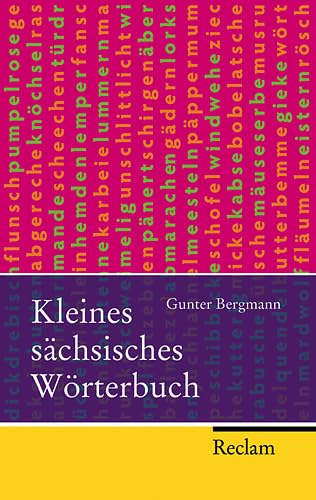 Kleines sächsisches Wörterbuch. Reclam-Taschenbuch ; Nr. 21520 - Bergmann, Gunter