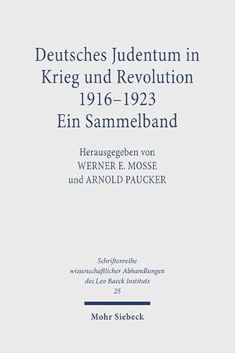 Deutsches Judentum in Krieg Und Revolution 1916-1923: Ein Sammelband (Schriftenreihe Wissenschaftlicher Abhandlungen Des Leo Baeck) (German Edition) (9783168314028) by Mosse, Werner E; Paucker, Arnold